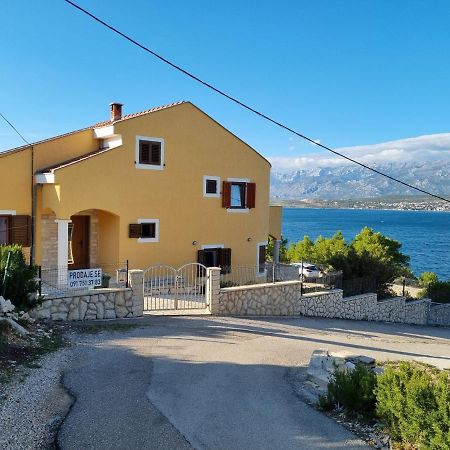 Apartments Mikecin Novigrad  Exterior foto