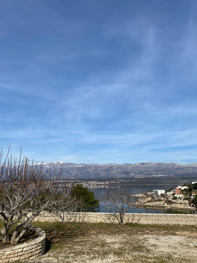 Apartments Mikecin Novigrad  Exterior foto