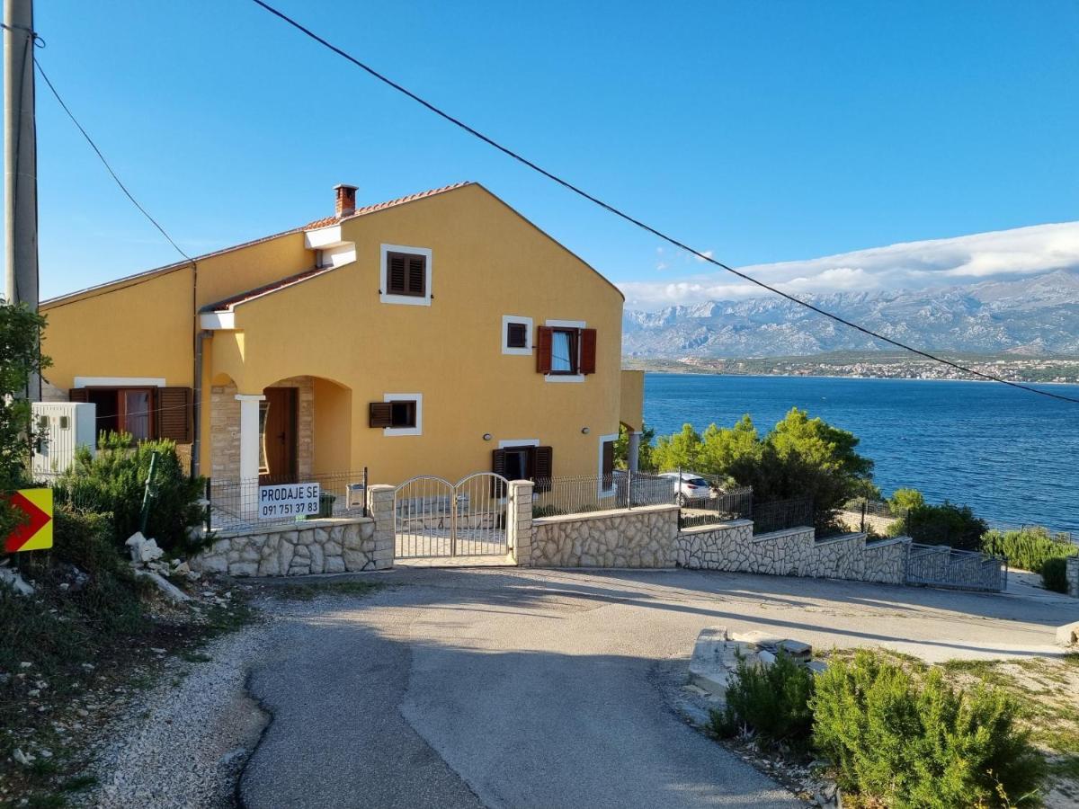 Apartments Mikecin Novigrad  Exterior foto